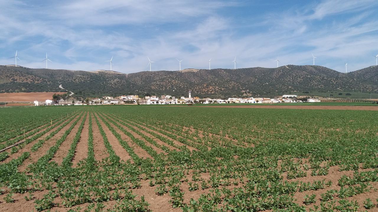 Posada Ana Ponce Sierra de Yeguas Dış mekan fotoğraf
